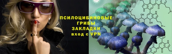 шишки Осташков