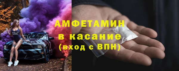 шишки Осташков