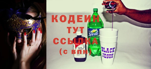 молекула духа Пересвет