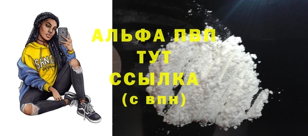 шишки Осташков