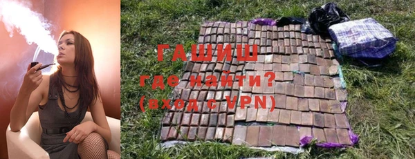 шишки Осташков