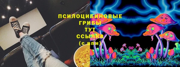 шишки Осташков