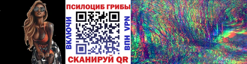 Псилоцибиновые грибы прущие грибы  Луза 